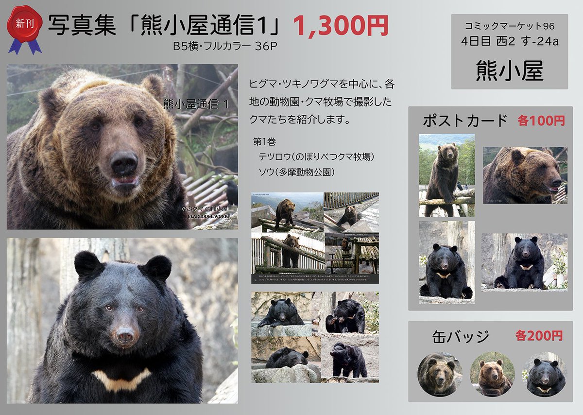 定期ポスト】 #コミックマーケット96 で #ヒグマ #ツキノワグマ の写真