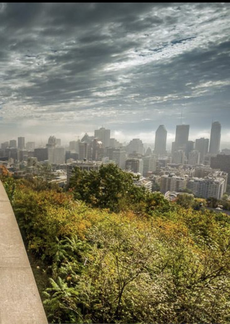 Eric Bhell (@ericbhell) on Twitter photo 