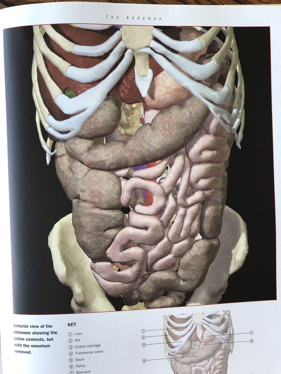 伊豆の美術解剖学者 実は10月のボーンデジタルの講習会は美術解剖学の教科書に載っていない内臓 脳 変異 血管 歴史を予定している ホラー表現に限らず 人体表現を探るという点で需要があるように思う