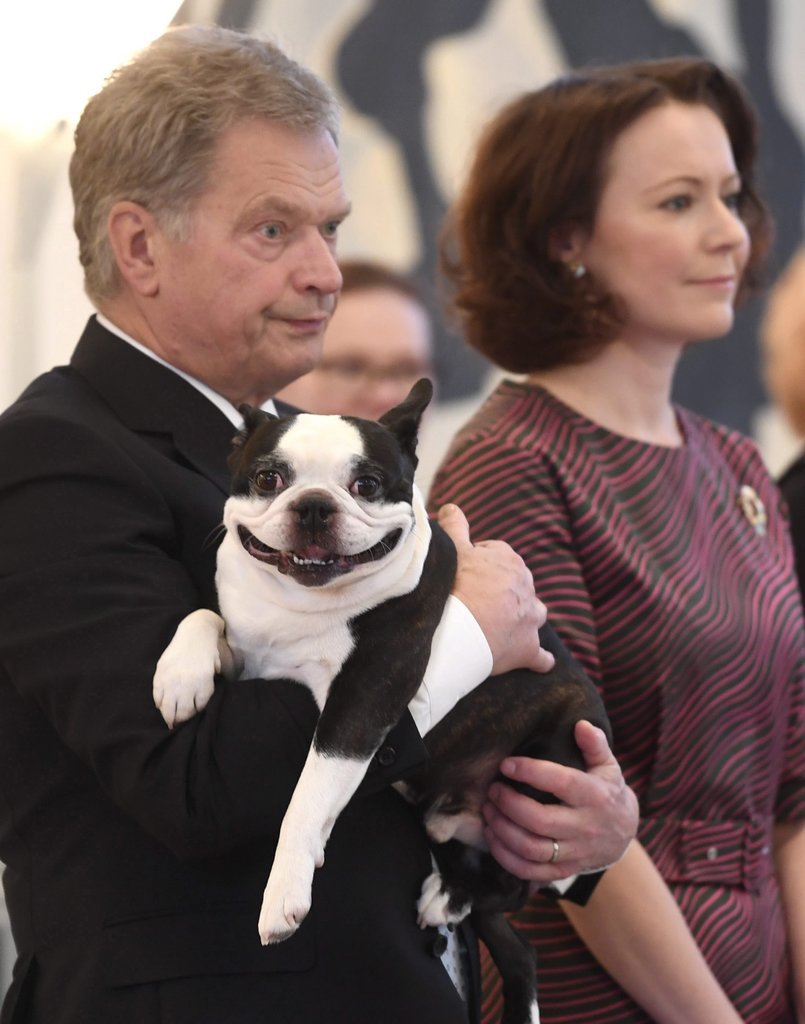AHappierDay's tweet image. The Finnish president and his dog Lennu