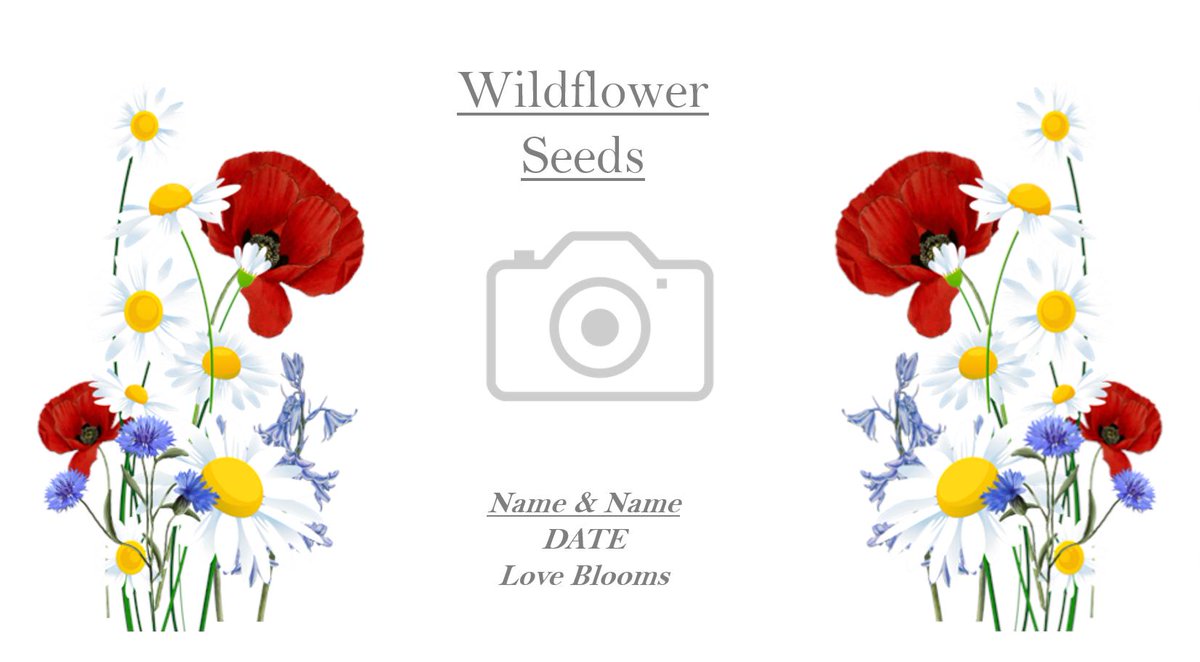 Seedspiration_'s tweet photo. (4/5) All designs are completely customisable to your every demand at no extra cost. #weddinginspiration https://t.co/ZxNedZWspu