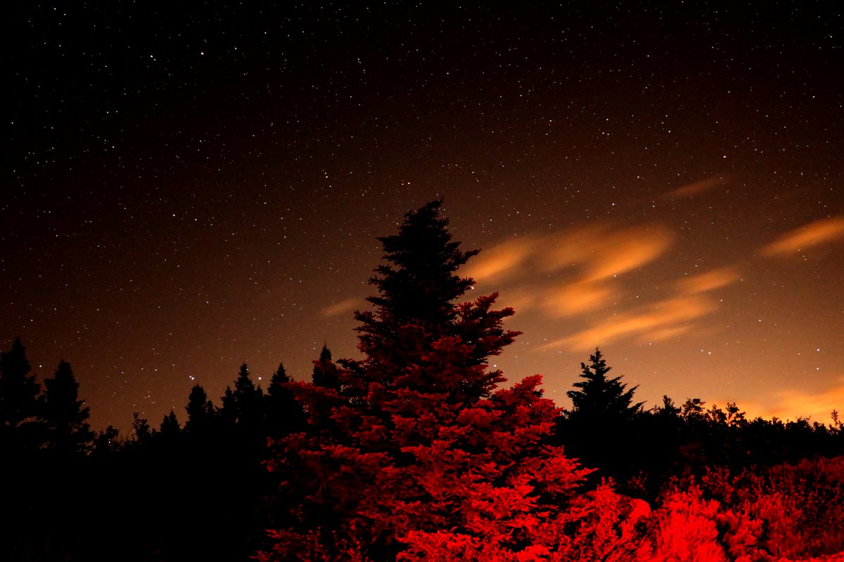 So clear looking back toward #stjohns from #witlessbay last night.  The city makes an orange glow so I decided to light up the trees with my brake lights. #longexposure #newfoundland #canont6i #nightsky