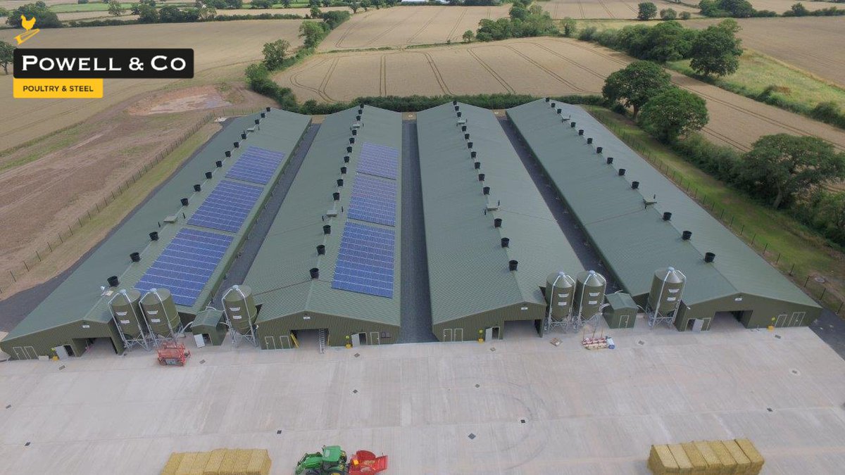 Powell & Co Construction Ltd tweet media