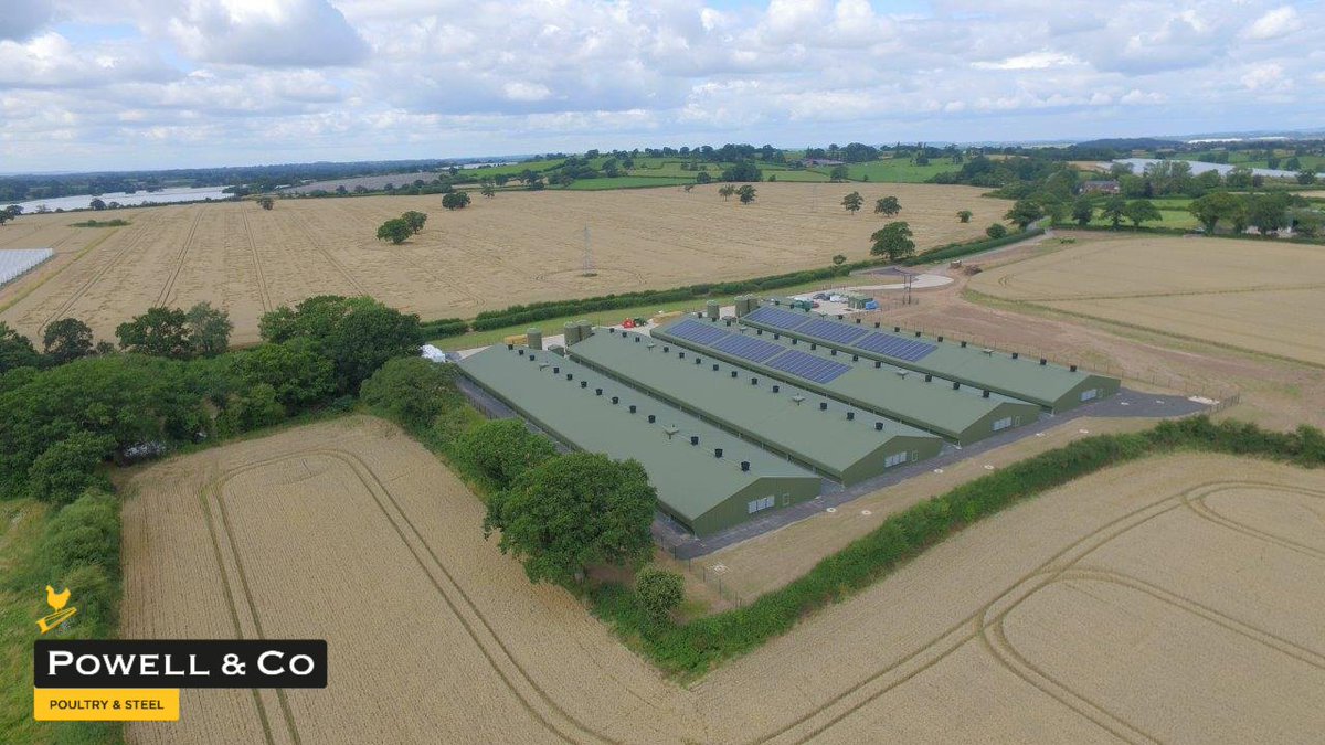 Powell & Co Construction Ltd tweet media