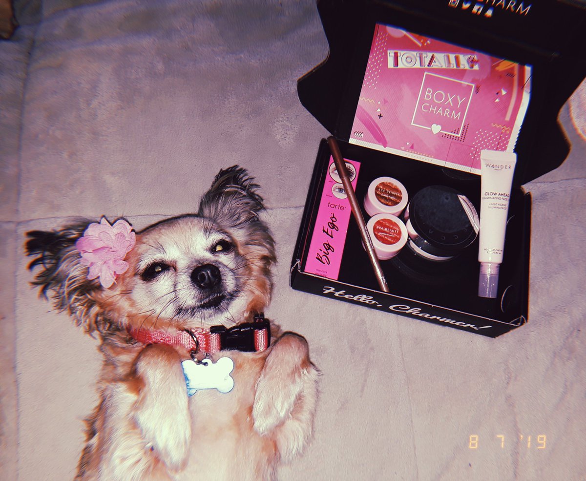 lmarie70413's tweet photo. Definitely feeling the pink vibe this month @boxycharm 💞🥰🌸
#boxypets #boxycharm https://t.co/X3cpm0Dx0Q