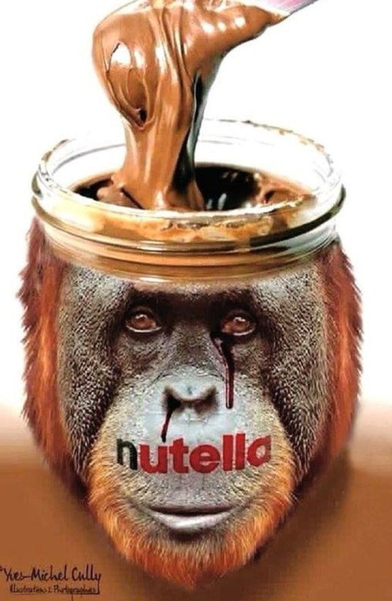 Motivos para não comer Nutella
a theread
