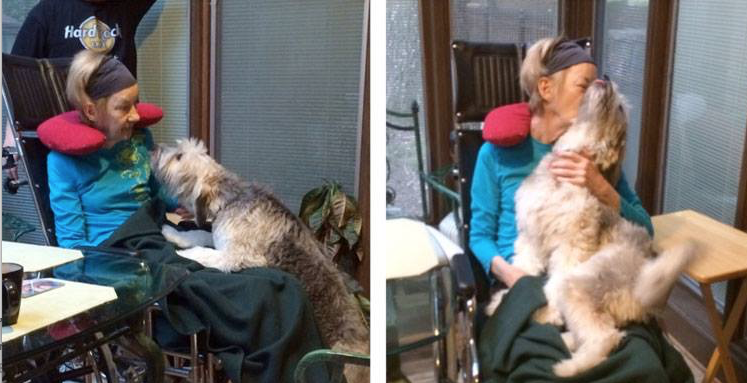WeLoveDogsUSA's tweet photo. Grandma's home from the hospital!
#kissingdogs #GrandmasDog https://t.co/e7JVrV7rUP