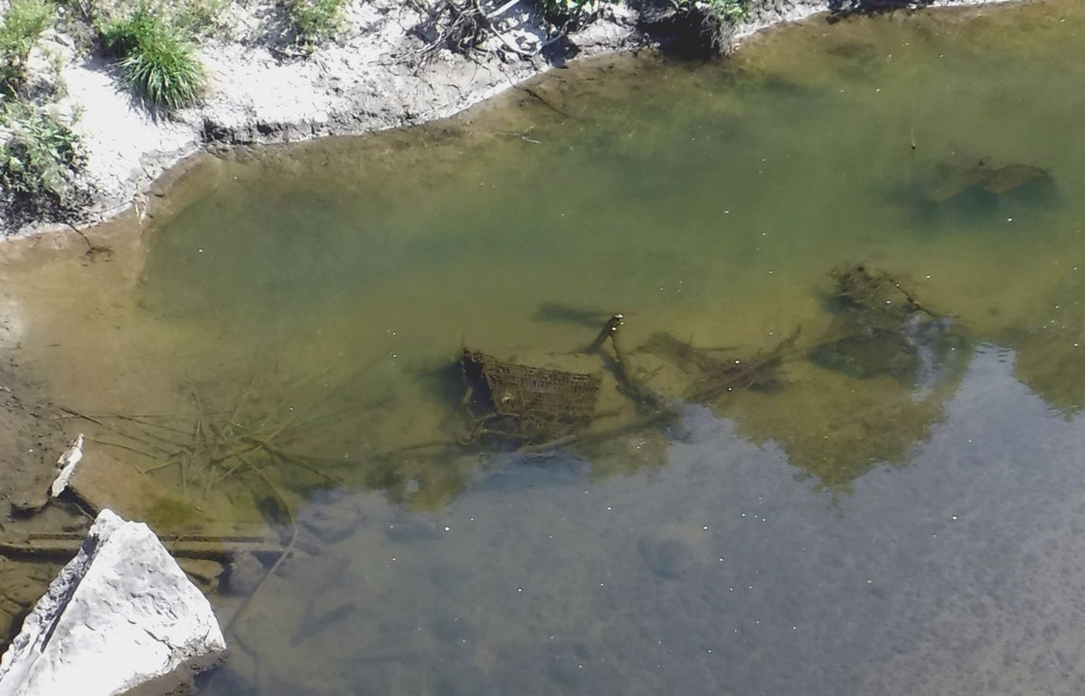 the plan seems to be for a tunnel under the rail line, the very busy Metrolinx Bala sub, carrying the Richmond Hill GO as well as Via trains, so construction will be tricky at best...from here, you must walk the rails, so be cautious...oh look, a dead shopping cart in the river