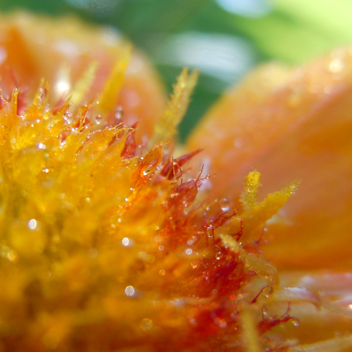 <a href="/sitaravirgo/">sitara_star 💫🌟</a> <a href="/tomorrow12River/">Mai Alice</a> <a href="/jiuerlily/">Veronica</a> <a href="/Ryan_CaoDat/">Ryan_Cao 😊💖✌️</a> <a href="/hmn56656/">🇨🇳🇪🇺中欧自由贸易科技交流促进会💫2025</a> <a href="/lcs1122/">임철수(Hi Consulting)</a> ♦♦♦

#La0nly  #Edmonton.  #Jiuerlily

they dance in front of my lens... Haha...♦♦

@titinas92603898