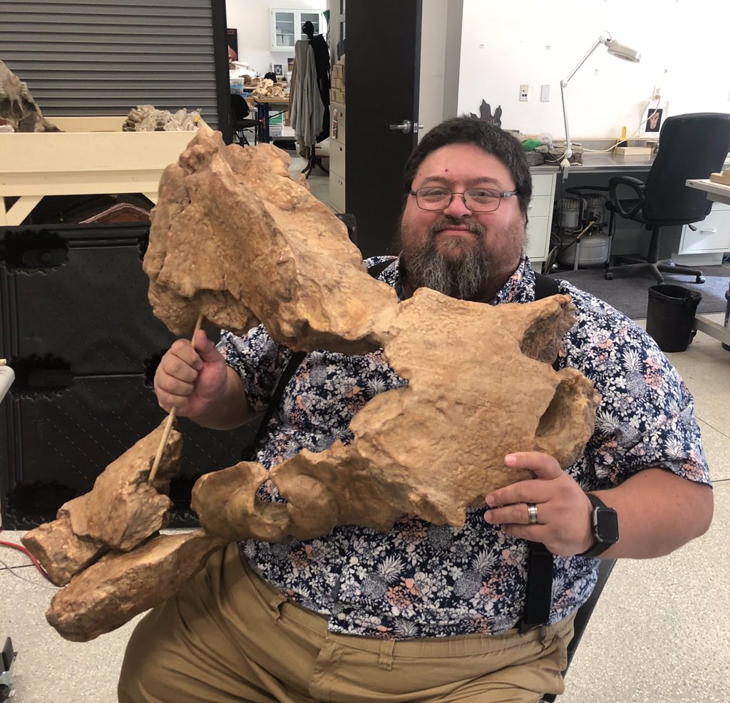 AltonDooley's tweet photo. #3Dprinted holotype skull (~10% complete) of Miocene whale Eobalaenoptera harrisoni, 1st taxon I ever described. Based on 7 photogrammetric models, printed on @lulzbot3D TAZ6. Original @VMNH. Will be in #AncientSeas exhibit @WesternCenter. #WhaleWednesday #scientistswhoselfie https://t.co/gJXG5XIvWc