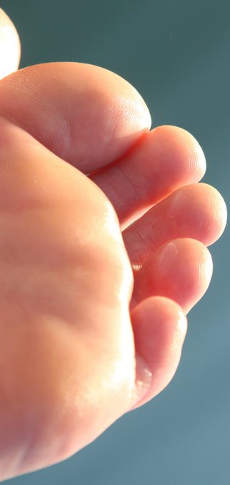 @AssLick13197622 @yiderk I know you love my #toes :) Thousands of #HQpics on https://t.co/FN9HMTZ4nZ<a class="tags" target="_blank" title="On Twitter" href="/?out=eyJ0eXAiOiJKV1QiLCJhbGciOiJIUzUxMiJ9.eyJpYXQiOjE3MjAyOTcwMzcsImlzcyI6InR3cG9ybnN0YXJzLmNvbSIsIm5iZiI6MTcyMDI5NzAzNywiZXhwIjoxNzUxODMzMDM3LCJyZWRpcmVjdF91cmwiOiJodHRwczovL3R3aXR0ZXIuY29tL0Fzc0xpY2sxMzE5NzYyMiJ9.Up-4v9VamVPEllNm-ifBRNUyWldDlRE5Y5UPNPBlXFITjKeOoDylXLHbCys7RmL1emTfcAgbIWqE-M0I8cferQ">@AssLick13197622</a><a class="tags" target="_blank" title="On Twitter" href="/?out=eyJ0eXAiOiJKV1QiLCJhbGciOiJIUzUxMiJ9.eyJpYXQiOjE3MjAyOTcwMzcsImlzcyI6InR3cG9ybnN0YXJzLmNvbSIsIm5iZiI6MTcyMDI5NzAzNywiZXhwIjoxNzUxODMzMDM3LCJyZWRpcmVjdF91cmwiOiJodHRwczovL3R3aXR0ZXIuY29tL3lpZGVyayJ9.P0Q0546Z803fwY9LIlTMqjq2PuMGgaFm3lWhYMT3Per58-lY1zChH1PwhaJOTaGtq5Lrz5jOjle5st-m8ar8iA">@yiderk</a><a href="/tag/toes"class="tags">#toes</a><a href="/tag/hqpics"class="tags"><span>#hqpics</span></a>