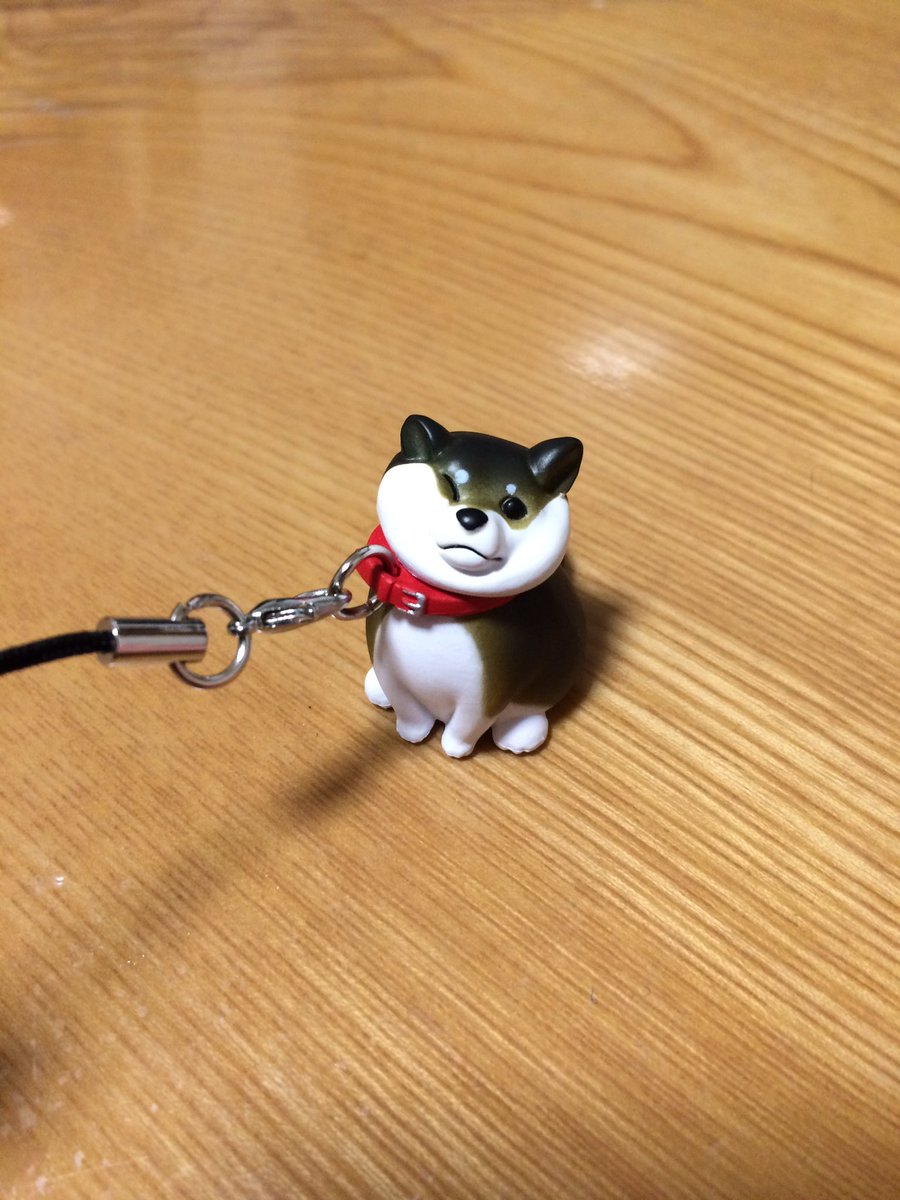 Uzivatel 桐島千夜直貞 Na Twitteru ララ 今日のテーマ 少し前のシリーズですが 拒否犬シリーズです 散歩から帰るのを嫌がる 柴犬のフィギュアです