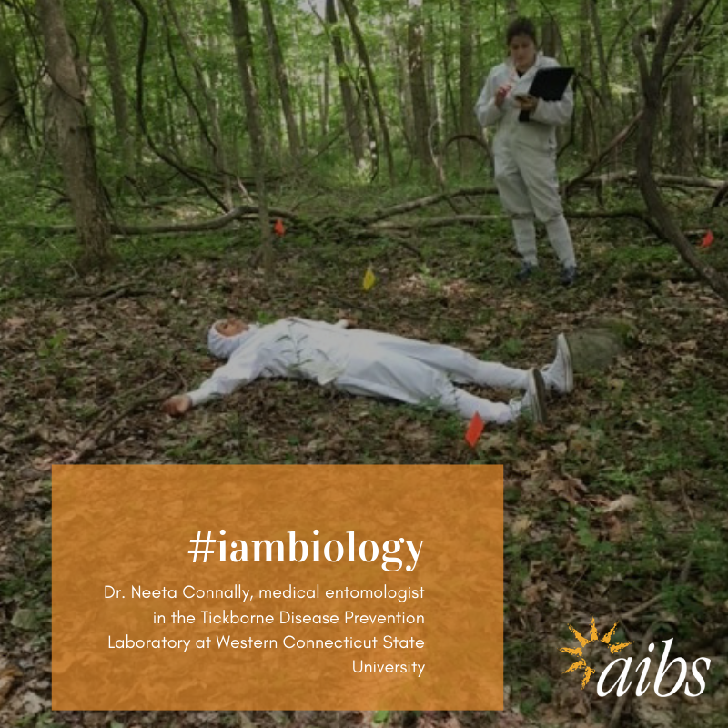 American Institute of Biological Sciences tweet media