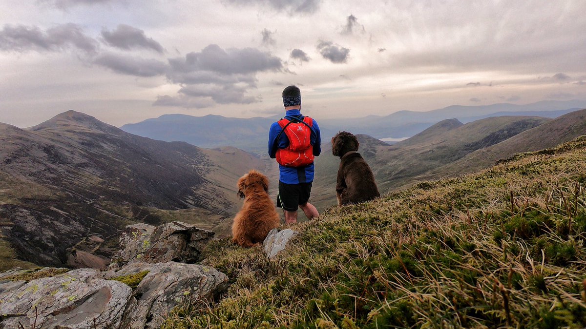 TheLakesMike's tweet photo. Must get out for a decent run in the fells this weekend, I’m putting weight on...
.
📸 Coledale Round, Feb 2019
.
#spanielpilot #lakedistrict #ukrunchat #coledaleround #coledalehorseshoe #grisedalepike #hopegillhead #craghill #sail #outerside https://t.co/FIPM4wO2uw
