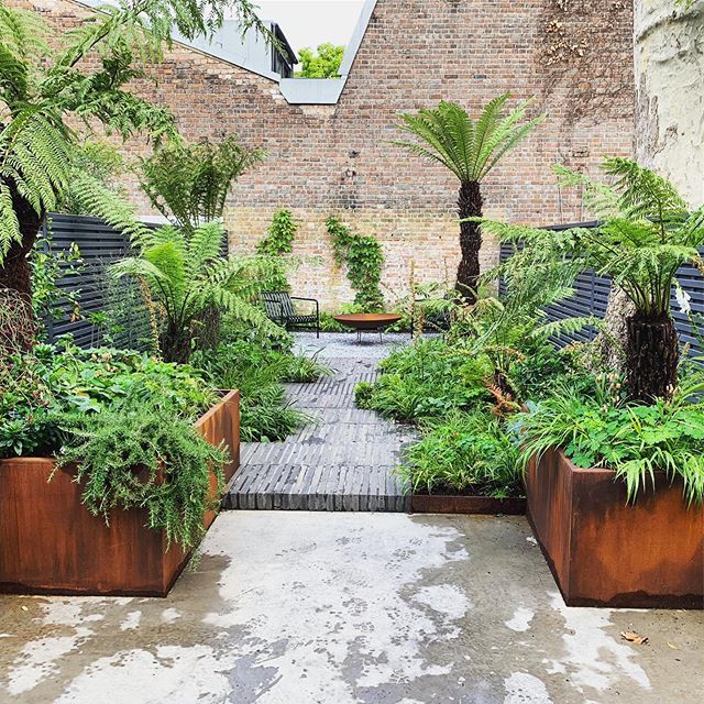 Tom Massey (@tommasseyuk) on Twitter photo Urban jungle! Good to see this East London garden finished a couple of months ago filling out nicely. Crisp landscaping by <a href="/tlc/">TLC Network</a>.uk #urbanjungle #garden #gardendesign #planting #treefern #corten #concrete #eastlondon ift.tt/2MP6dij Urban jungle! Good to see this East London garden finished a couple of months ago filling out nicely. Crisp landscaping by <a href="/tlc/">TLC Network</a>.uk #urbanjungle #garden #gardendesign #planting #treefern #corten #concrete #eastlondon ift.tt/2MP6dij