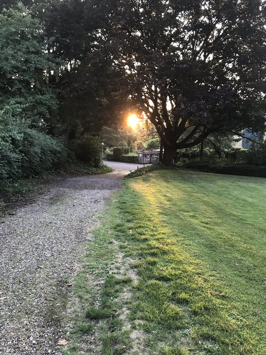 Joanna20925321's tweet photo. #joggingchallenge #health #ecopsychology #nature #maastricht https://t.co/qzq2Jn12Et