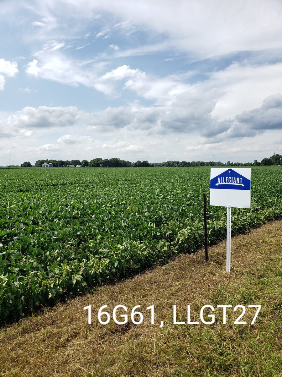 RRademac's tweet photo. Nothing beats signing your signature on your hard work! @CHSInterns #creatingconnections Below is some of your top players coming out in next years line up of #AllegiantSeed: 19E92N-E3 and 16G61-LLGT27 @CHS_Brandon1 https://t.co/H0aLsuOOOx