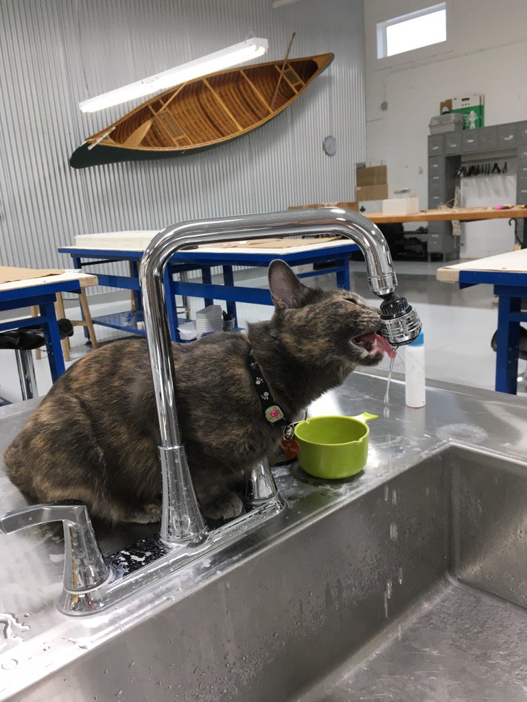 Peartree tweet media