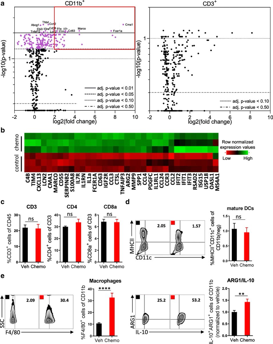 sitcancer's tweet photo. New #JITC Research: Combination therapy targeting both innate and adaptive immunity improves survival in a pre-clinical model of ovarian cancer https://t.co/vUAFU0rh6e https://t.co/E9Wvnd4LM1