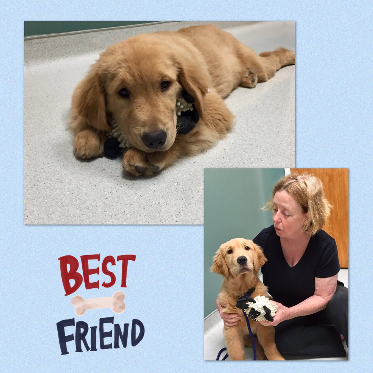 northelmanimal's tweet photo. Puppy time! Biscuit Wilhite and his mom, Faye, gave us all a smile today during his visit. 
Check out our website on puppy care or to schedule an appointment for your new addition at https://t.co/4A1T2OxEZc https://t.co/FFlYsxgfcP