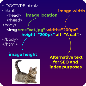 Code Island tweet media