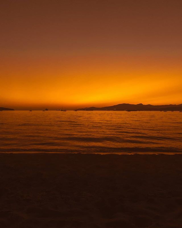 TurnToSideB's tweet photo. A golden horizon.
The best of beach evenings. 
Mind of haze. 
#shotonmoment https://t.co/t1JitSOtWk https://t.co/5dzKMHepOG
