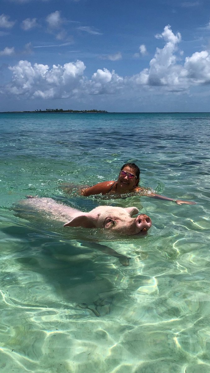 Just another day in paradise! “Beach pool selfie” #METeach #SummerSelfieBingo