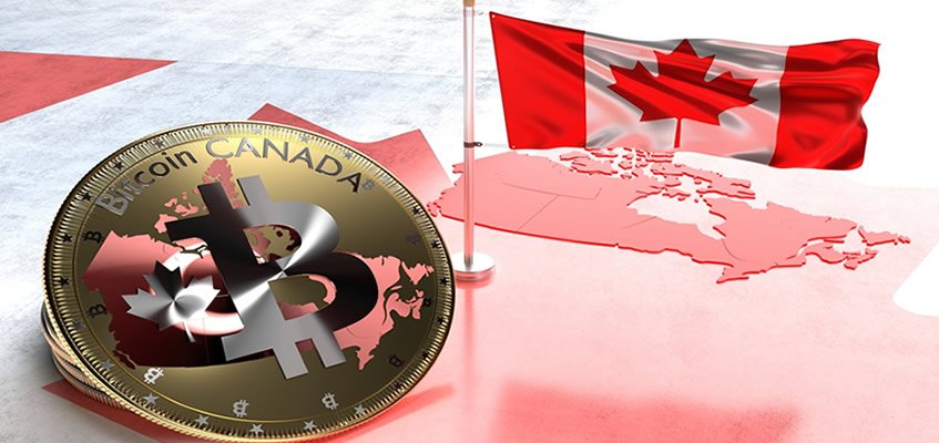 BtrExchange's tweet photo. Blog Post: Canadian Bitcoin Educator Scams a Scammer 🇨🇦

"I said that I would gladly invest $20,000 with them if they would simply send me $100 back... just to ensure that everything was legit."

The scammer met Perrin halfway and sent $50 US!

https://t.co/dsa6JigJbl https://t.co/cgD6Nvk9cw
