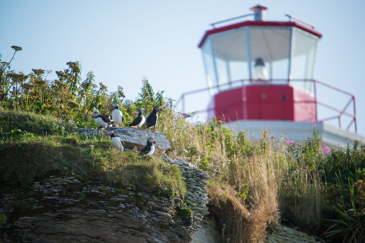 pcparcsavie's tweet photo. @ParcsCanada Vous avez toujours rêvé de devenir gardien de phare? L’air marin et les macareux vous attendent sur l’Île aux Perroquets, dans la @RPNMingan. Vous pourrez y passer la nuit dans la maison d’un gardien de phare et voir si ce style de vie vous convient. https://t.co/ULDtNe2PAm https://t.co/GHMouLmZnr