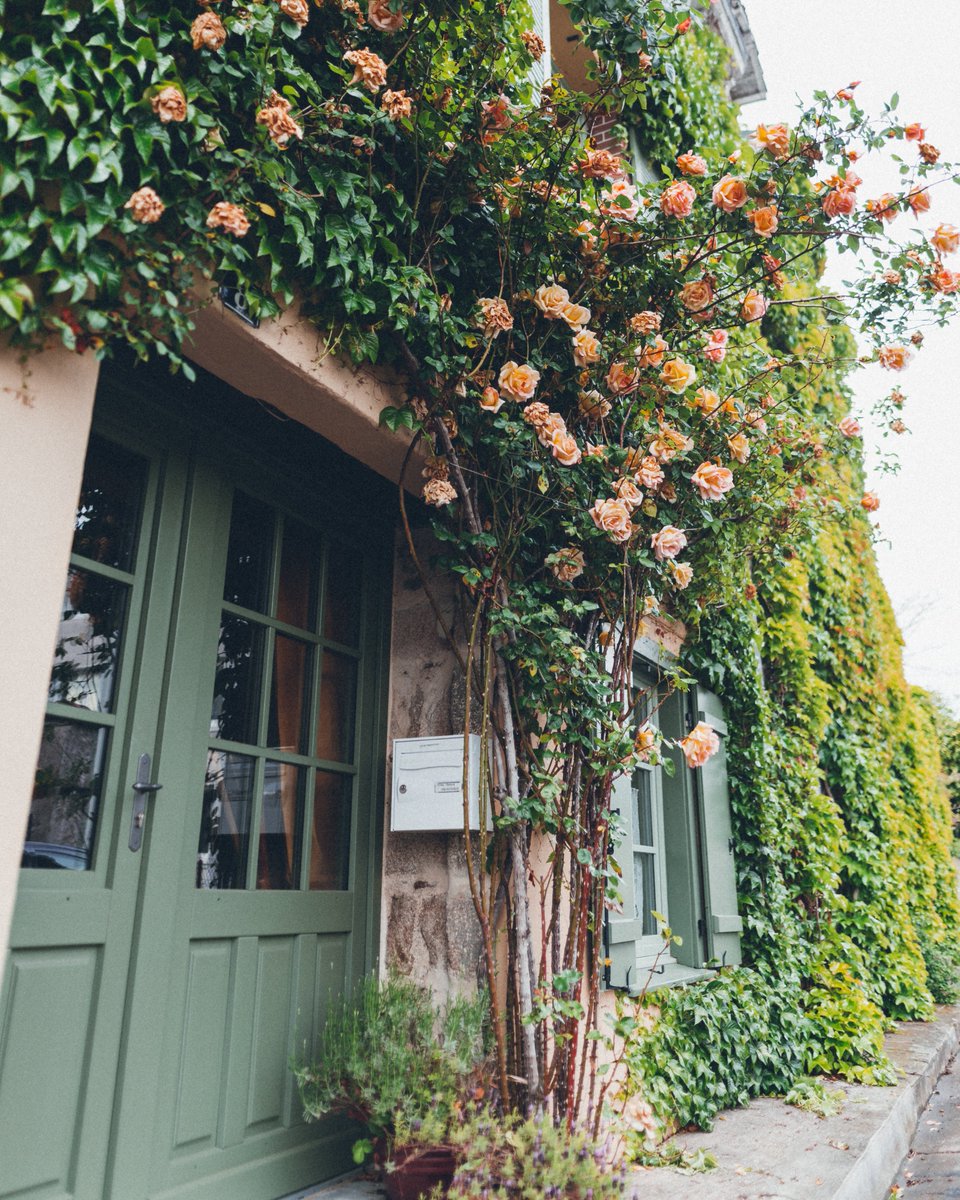 Skip the hassle of the hardware store - all ECOS orders over $100 ship free, directly to your doorstep. With a doorstep like this, we wouldn’t want to leave either! Start shopping today: ecospaints.net