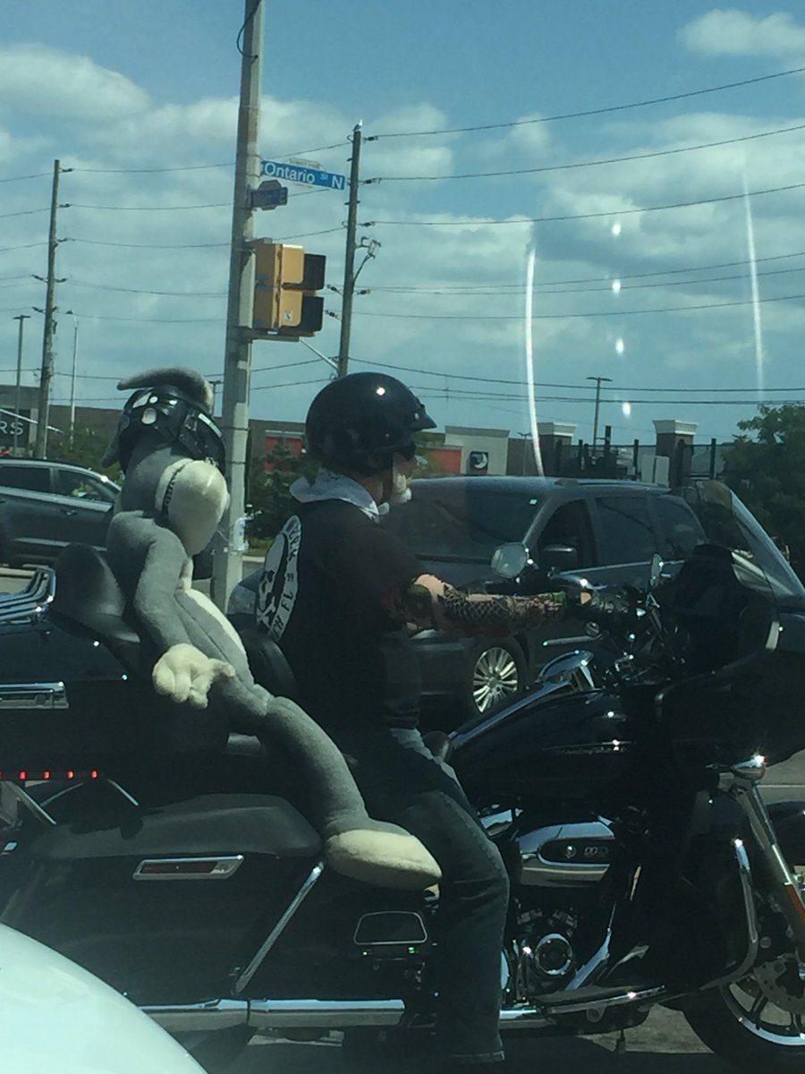 Notice anything?😃🐰🏍