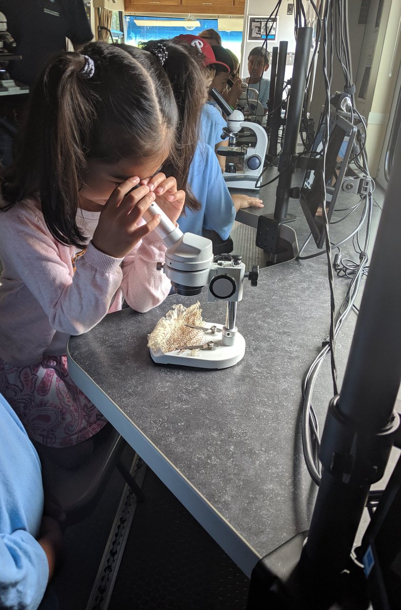 EnrichmentStep's tweet photo. The Palmyra Cove Environmental Education Foundation came to Camp with the Mobile Geoscience Laboratory. #WEareCHPS #scienceexploration #cherryhillscience  #MakingMemories https://t.co/dCe8nej218