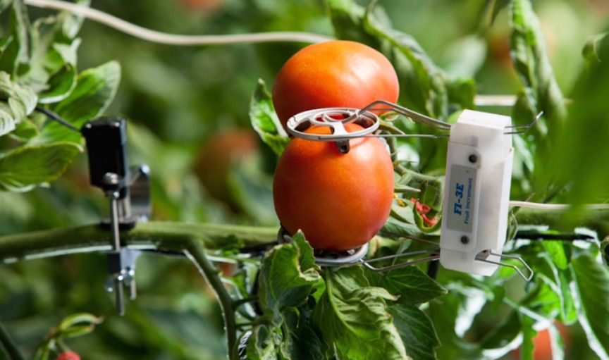 CRudinschi's tweet photo. Farm to Fridge: an industrial IoT (IIoT) love story https://t.co/Yd9kCHm5Wk via @RWW
#IIoT #Agriculture #connectedfarm @antgrasso @andi_staub @jblefevre60 https://t.co/idLh70pzpC