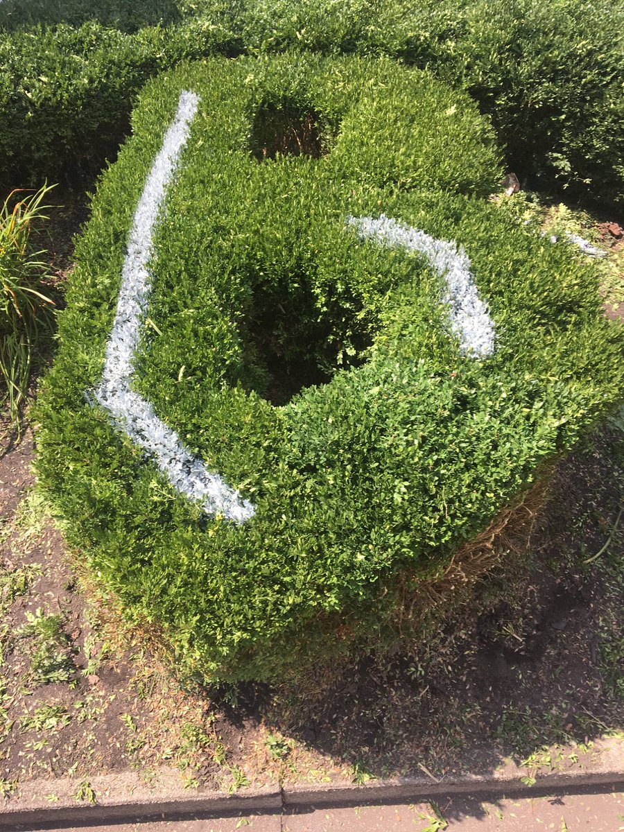 Even the shrubs are ready for the 14th!!  #lovethevue