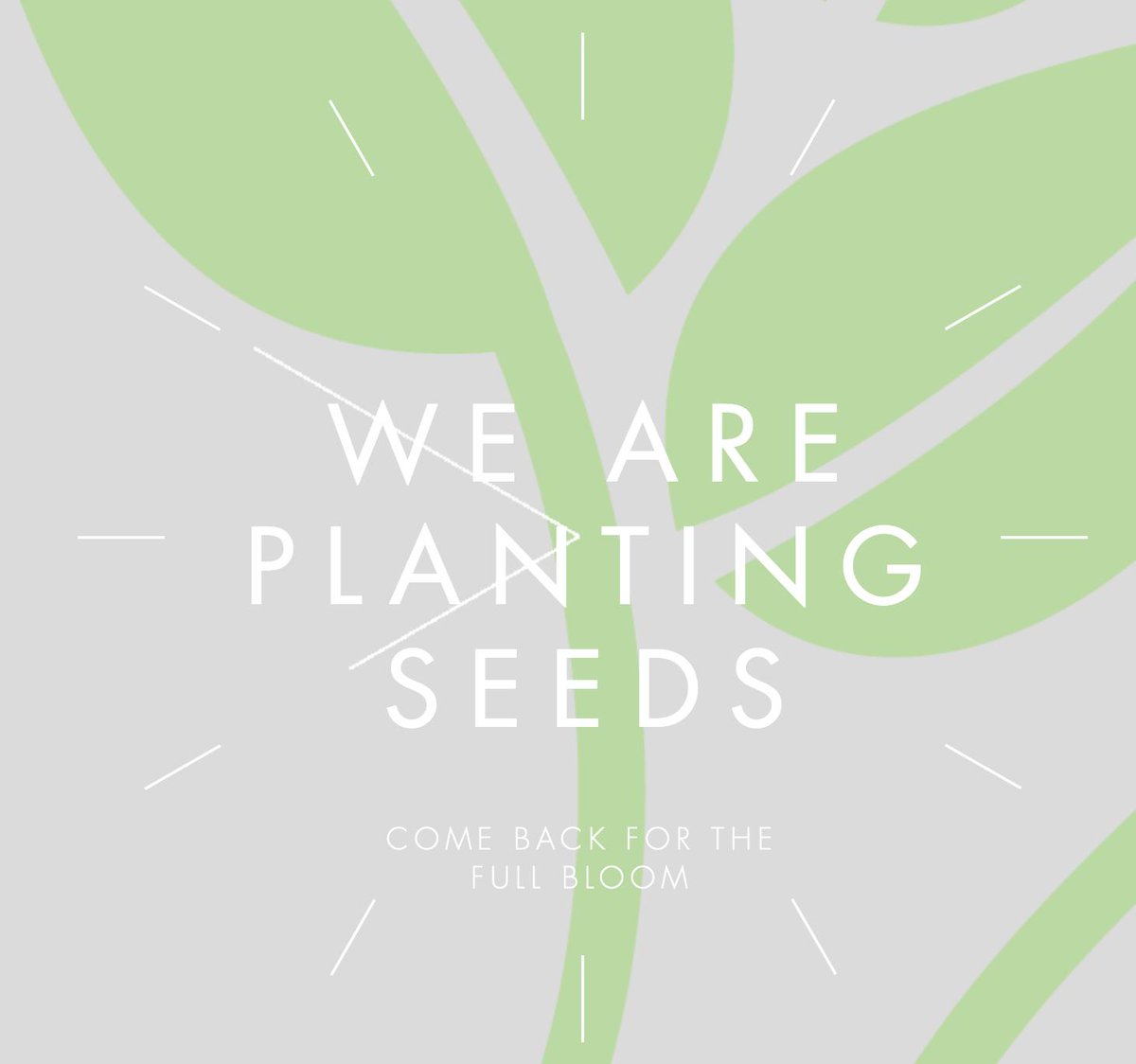 bloomingmms's tweet photo. https://t.co/3XIy6NaLVf is now live
Stay tuned to see our site in full bloom 🌱 https://t.co/aJcd1vDP1y