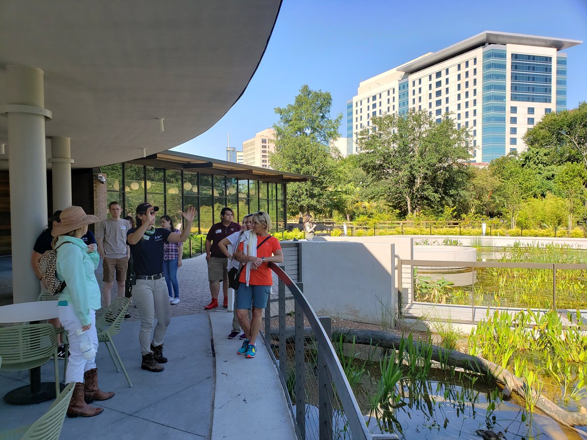 houstonbotanic's tweet image. We recently visited Hermann Park to meet with staff from the Houston Zoo, Japanese Garden, &amp;amp; Centennial Gardens. We appreciate how welcoming all of our colleagues with Houston's other cultural institutions continue to be as we join the ongoing effort to make Houston even greener!