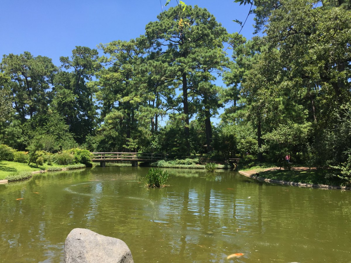 houstonbotanic's tweet image. We recently visited Hermann Park to meet with staff from the Houston Zoo, Japanese Garden, &amp;amp; Centennial Gardens. We appreciate how welcoming all of our colleagues with Houston's other cultural institutions continue to be as we join the ongoing effort to make Houston even greener!