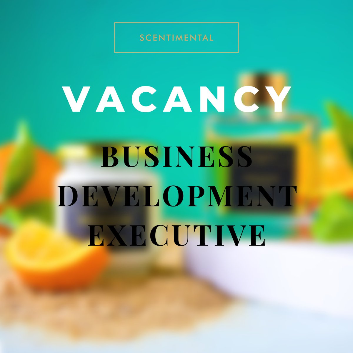 ScentimentalNG's tweet photo. #VACANCY

We’re looking for a proven Business Development Executive to join us in taking our business to the next level.

Find out the requirements for this role here: https://t.co/bTVKf6bTuN https://t.co/9VmbhtVw3p