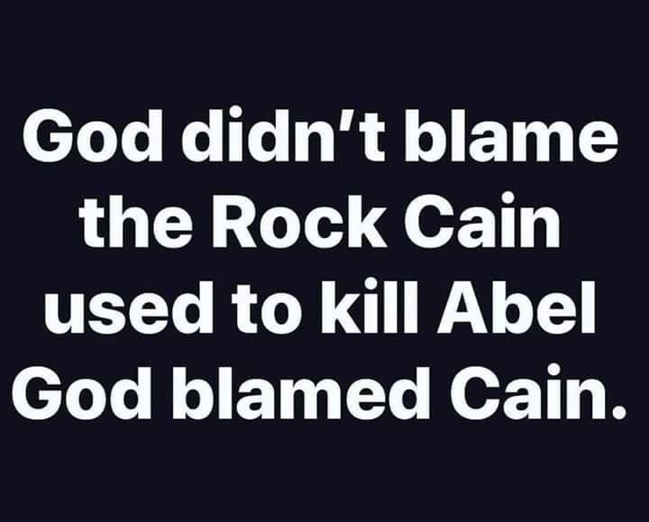 Steve Dellis tweet media