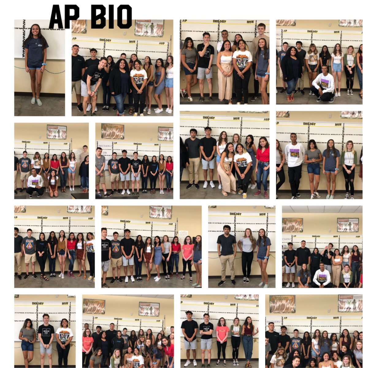SuchetaThomas's tweet photo. This years Period पांच అయిదు five AP Biology class! Can you guess who I am?
#TakingThePlunge #VHSScience #MakingConnections https://t.co/cUtWXArHgu