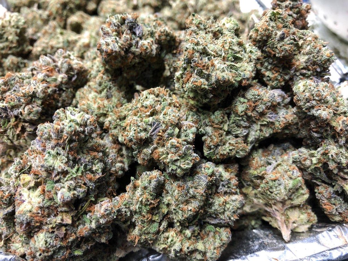 LBHDenver's tweet photo. Fresh drop of West Coast Sour Diesel Flower headed to the store!
East Coast Sour Diesel x Frisco OG https://t.co/YxLJQa5iai