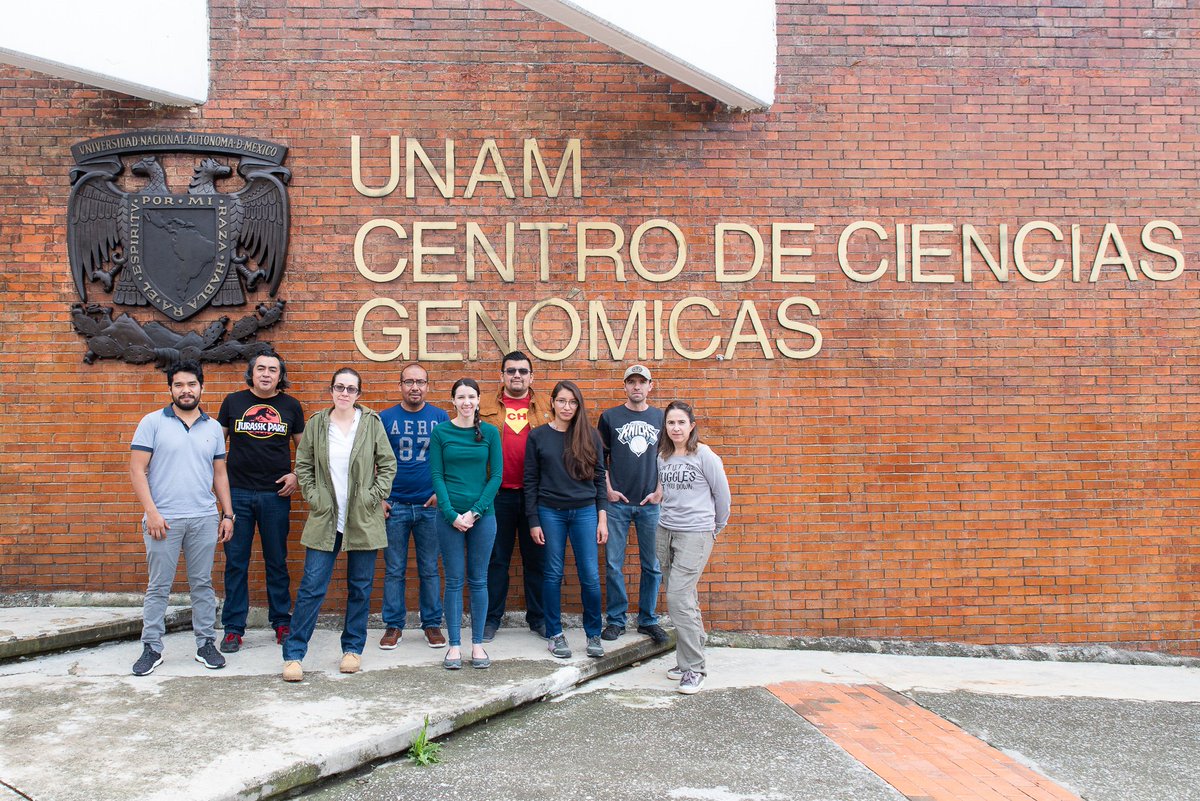 RBioinformatica's tweet photo. Foto Grupal del T4: Asesoría para el Ensamble y anotación de tu Genoma de estudio #tib2019
#UNAM @nnb_unam @ccg_unam @LIIGH_UNAM https://t.co/rPeE393Hwt