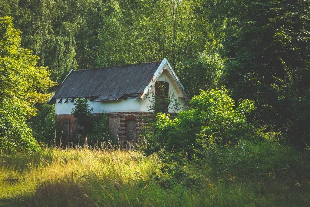 клиника диагностика лечение некоторых форм иммунопатологии и аллергических заболеваний с