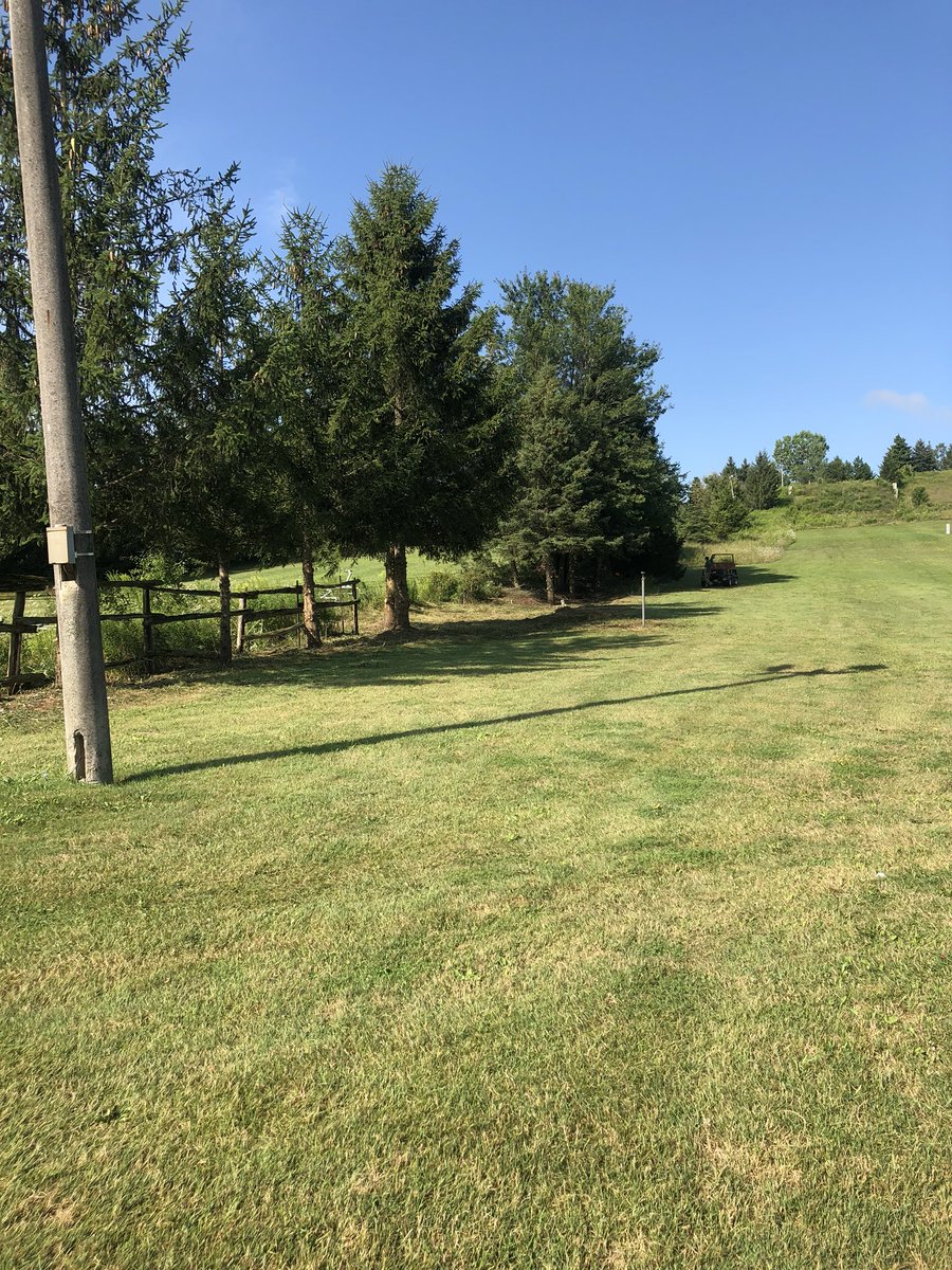 ryanarthur21's tweet photo. Tackling an in-house project- 40 trees on the driving range being limbed up to allow for ball retrieval #sapsapandmoresap #sticksfordays https://t.co/T4MSlZieTX