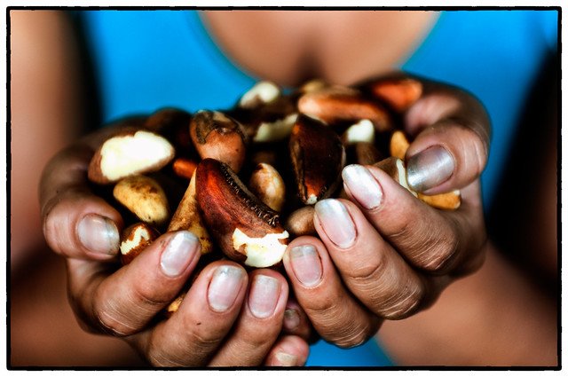 LandAllianceLAC's tweet photo. ¿Cuánta #madera puede ser cortada sin afectar la producción de #castañas?🥜 #Estudio realizado en la Amazonía de #Perú respondió a esta cuestión, además de ser la primera vez que una investigación científica influencia en la política forestal del país. ▶️https://t.co/63a0JDcJPP https://t.co/iZ7zWKPBAm