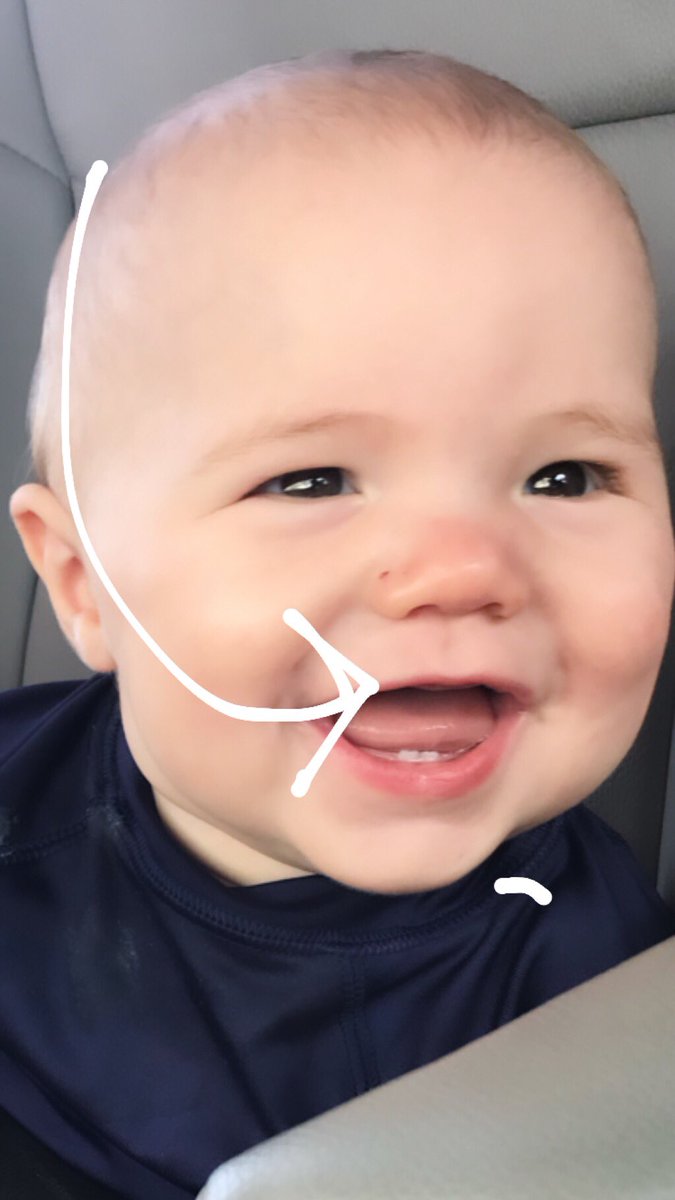 jenntitus10's tweet photo. Somebody wants to show you guys something! #teeth #2teeth https://t.co/pfjz9DfTPQ
