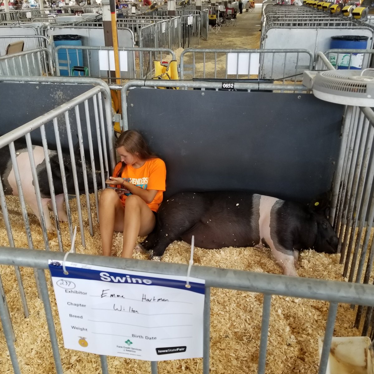 garybruns1's tweet photo. So tell me again how farmers and kids at fairs abuse their animals. Go ahead I'm listening. https://t.co/i459KiQlmS