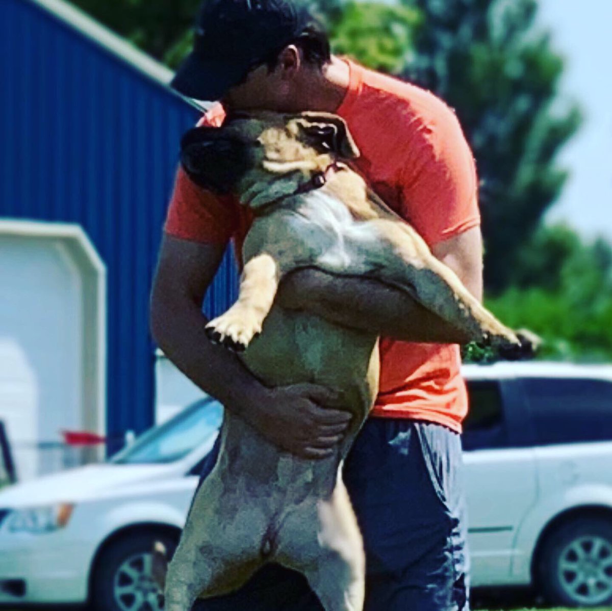 DaWizardOf_Croz's tweet photo. The granddaughter. #brickyard #boerboel https://t.co/4rWZIHrduz