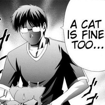 1 this is a cat. A Cat is Fine too. Cat is Fine too Мем. A Cat is Fine too Манга. Tsukihime Cat is Fine too.