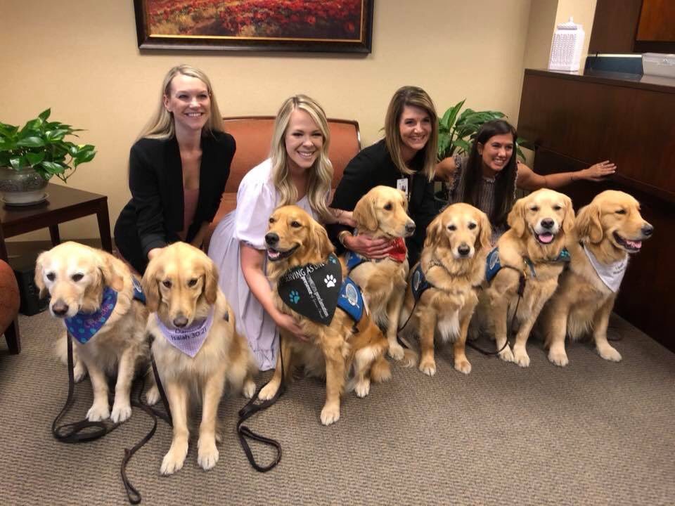 LCCK9Phoebe's tweet photo. It’s a @K9ComfortDogs group picture with some of the staff at Del Sol Medical Center in #ElPaso #ElPasoStrong https://t.co/C8gsPO0PNk